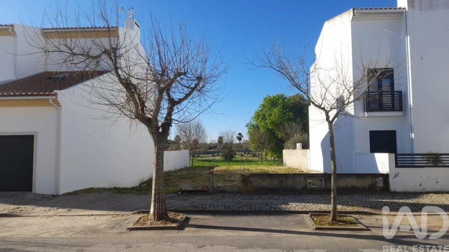 Terreno para Venda em São Bras e São Lourenço Foto 5
