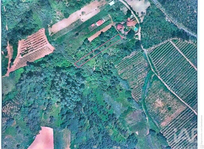 Terreno para Venda em Carvalhal Benfeito Foto 1