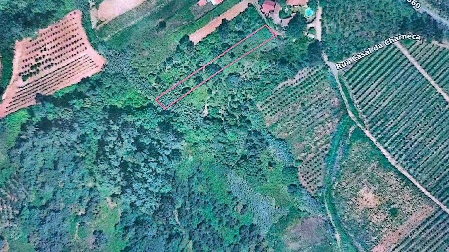 Terreno para Venda em Carvalhal Benfeito