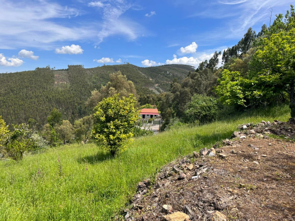 Moradia T4 para Venda em São Miguel, Santa Eufémia e Rabaçal Foto 10