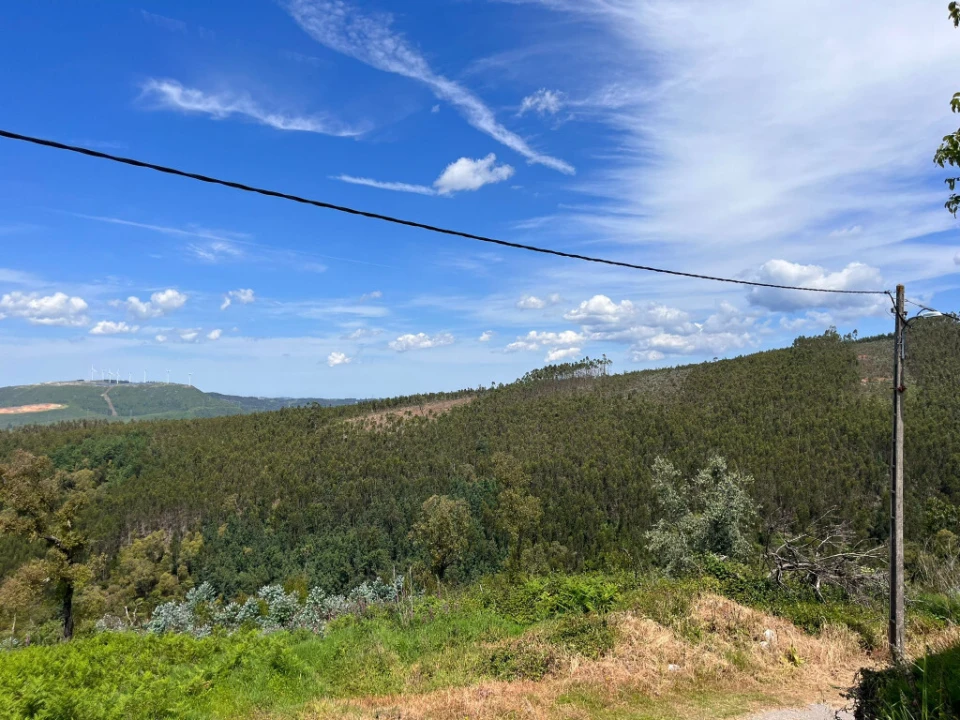 Moradia T4 para Venda em São Miguel, Santa Eufémia e Rabaçal Foto 8