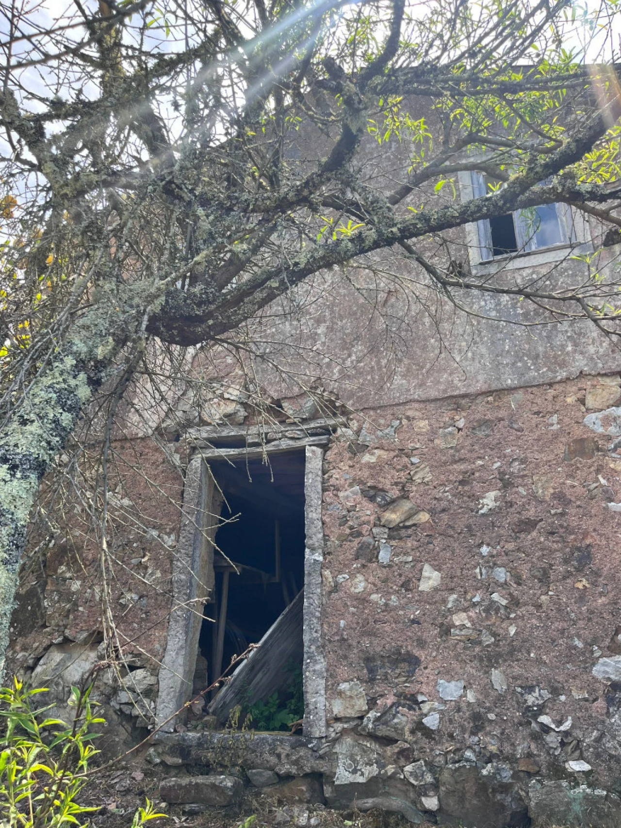 Moradia T4 para Venda em São Miguel, Santa Eufémia e Rabaçal Foto 12