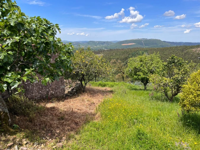 Moradia T4 para Venda em São Miguel, Santa Eufémia e Rabaçal Foto 11