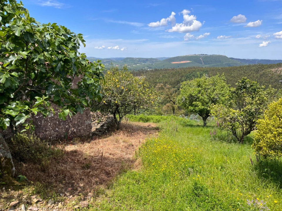 Moradia T4 para Venda em São Miguel, Santa Eufémia e Rabaçal Foto 11