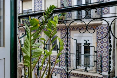 Apartamento T3 para Venda em Santo António