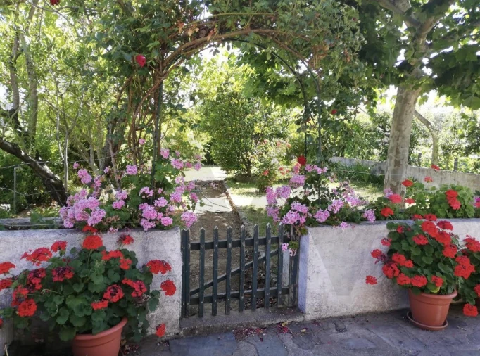 Quinta T5 para Venda em Cepões, Meijinhos e Melcões Foto 7