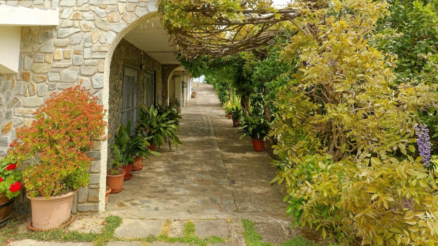 Quinta T5 para Venda em Cepões, Meijinhos e Melcões Foto 4