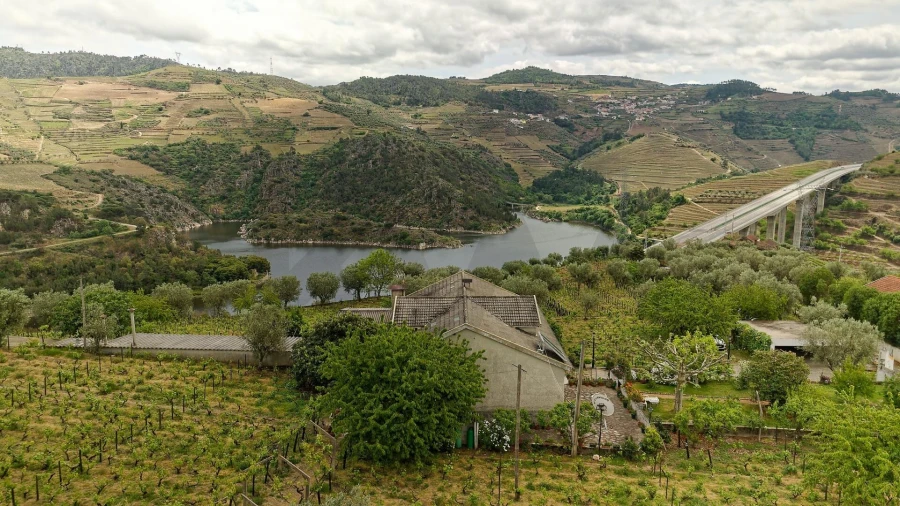 Quinta T5 para Venda em Cepões, Meijinhos e Melcões Foto 2
