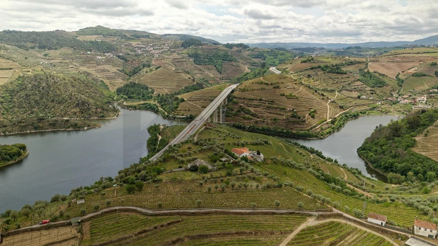 Quinta T5 para Venda em Cepões, Meijinhos e Melcões Foto 3