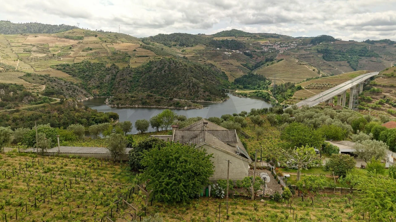 Quinta T5 para Venda em Cepões, Meijinhos e Melcões Foto 2