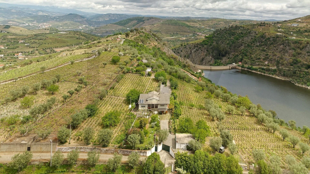 Quinta T5 para Venda em Cepões, Meijinhos e Melcões Foto 1