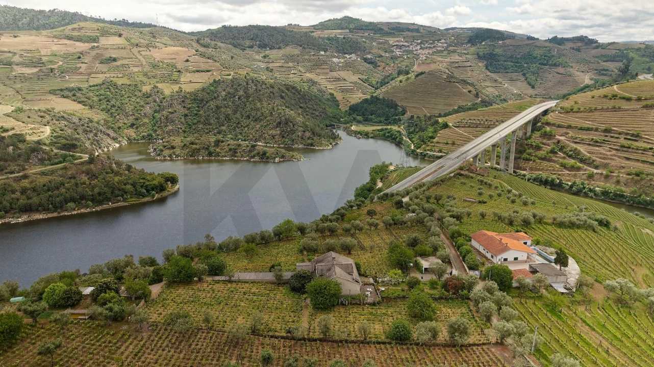 Quinta T5 para Venda em Cepões, Meijinhos e Melcões Foto 5