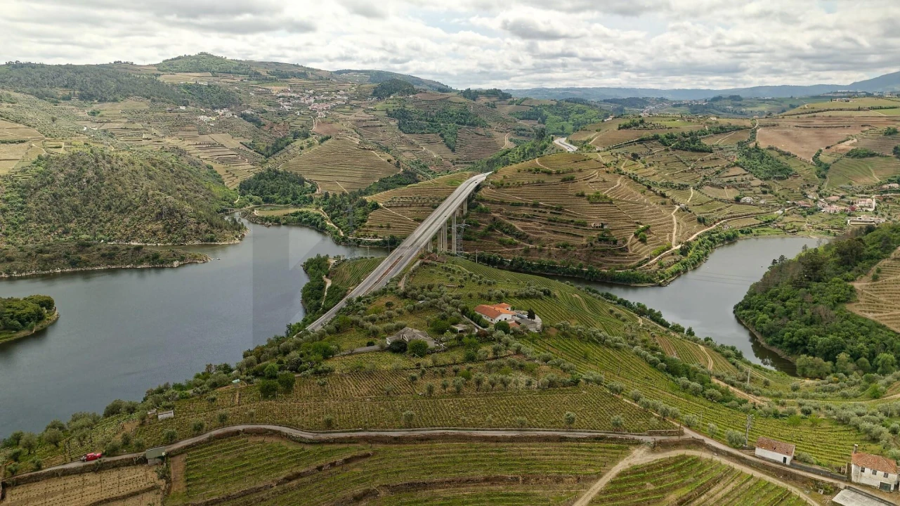 Quinta T5 para Venda em Cepões, Meijinhos e Melcões Foto 3
