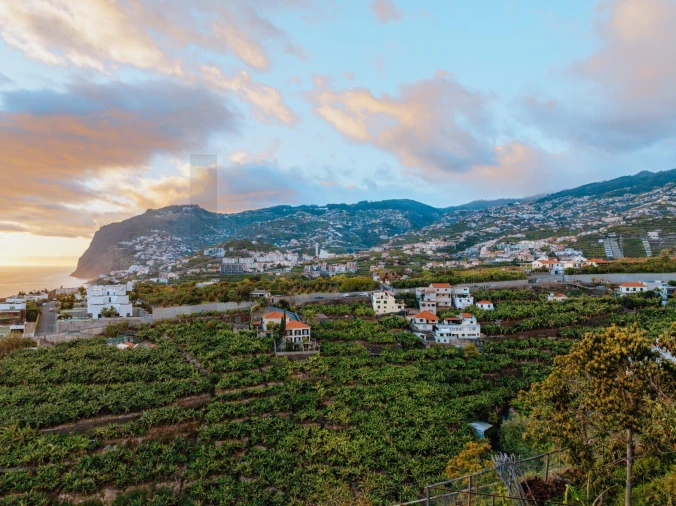 Terreno para Venda em São Martinho Foto 21