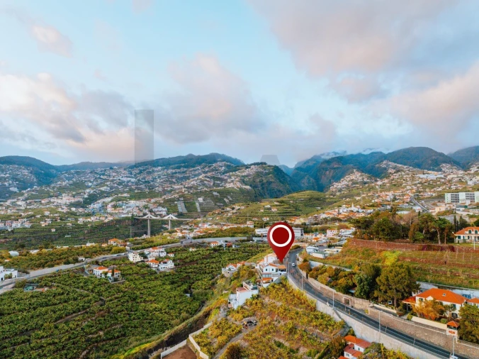 Terreno para Venda em São Martinho Foto 19