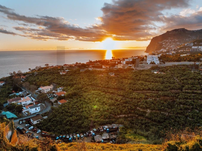 Terreno para Venda em São Martinho Foto 26