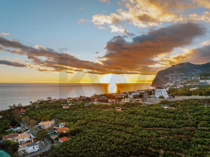 Terreno para Venda em São Martinho Foto 20