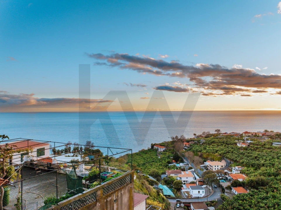 Terreno para Venda em São Martinho Foto 22