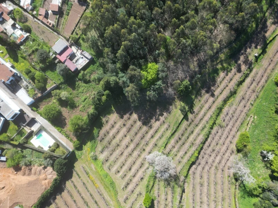 Terreno para Venda em Vilar de Andorinho Foto 6
