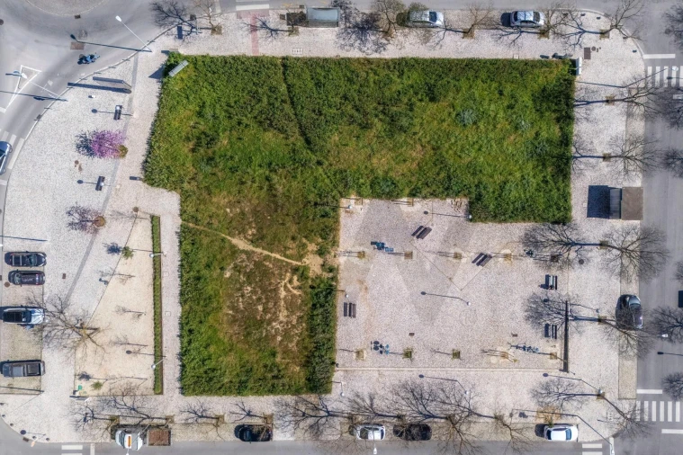 Terreno para Venda em Loule (São Clemente) Foto 15