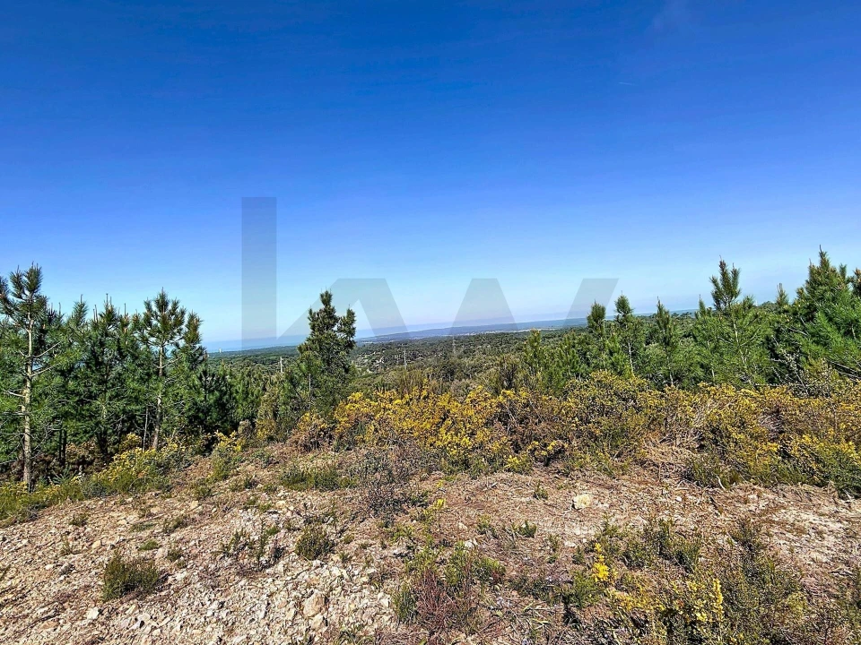 Terreno para Venda em Sesimbra (Castelo) Foto 9