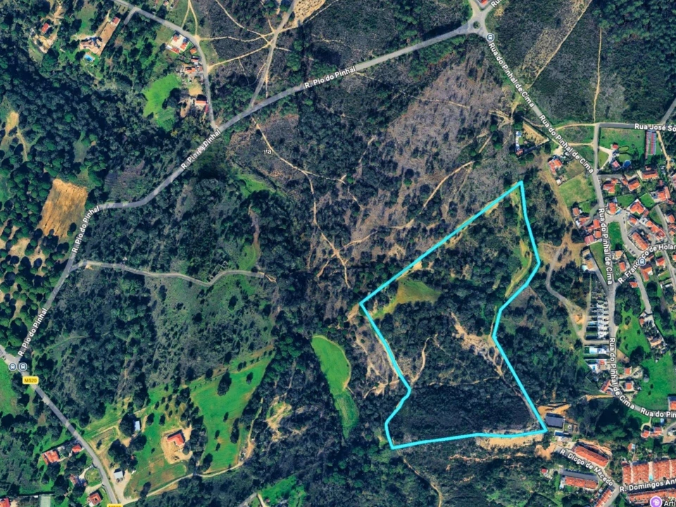 Terreno para Venda em Sesimbra (Castelo) Foto 27