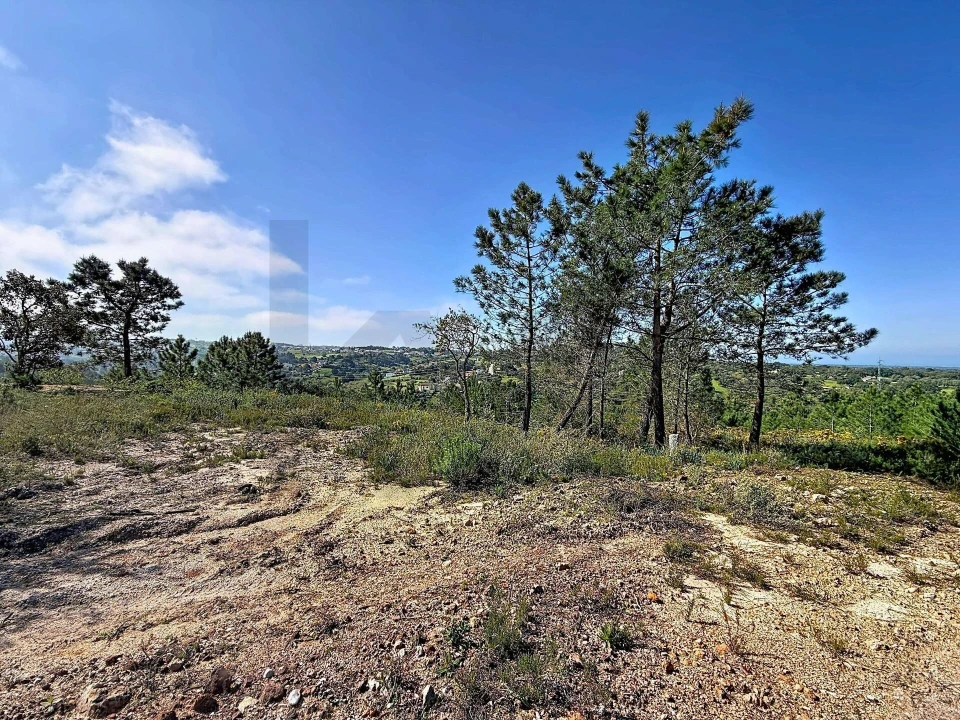 Terreno para Venda em Sesimbra (Castelo) Foto 12