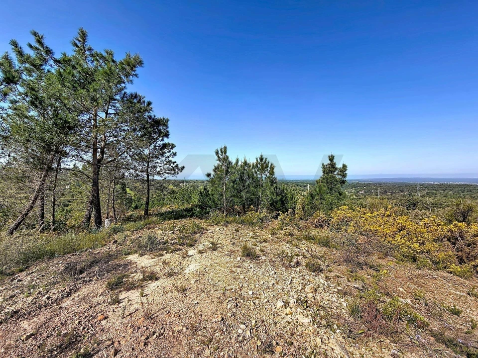 Terreno para Venda em Sesimbra (Castelo) Foto 10