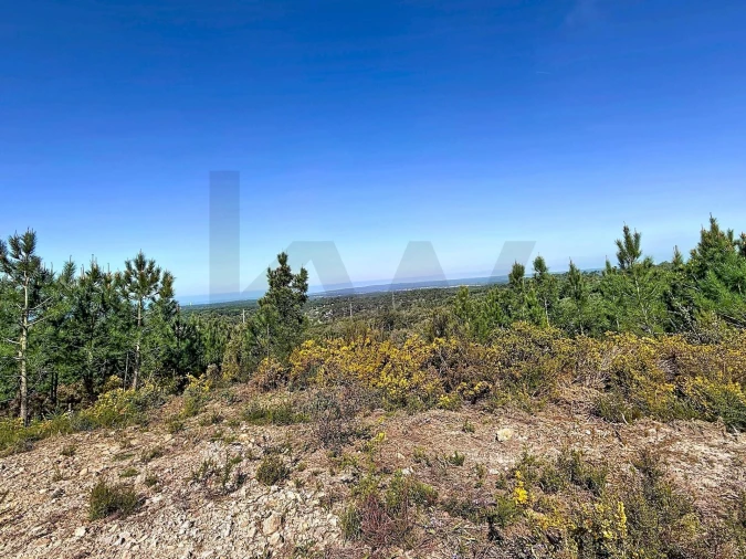 Terreno para Venda em Sesimbra (Castelo) Foto 9