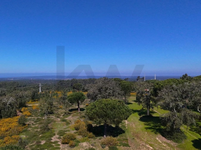 Terreno para Venda em Sesimbra (Castelo) Foto 20
