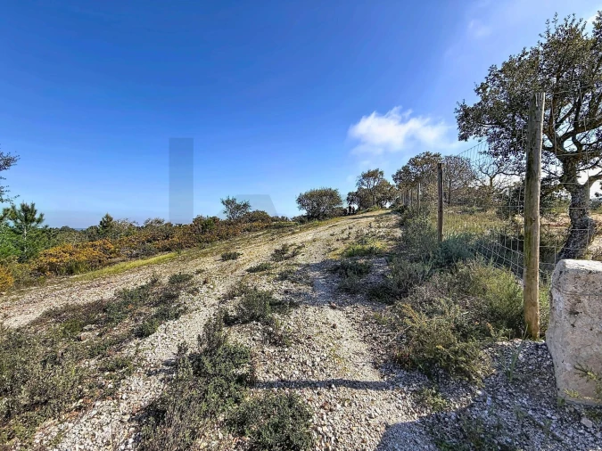 Terreno para Venda em Sesimbra (Castelo) Foto 11