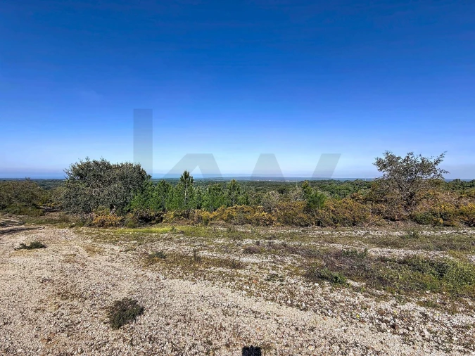 Terreno para Venda em Sesimbra (Castelo) Foto 7