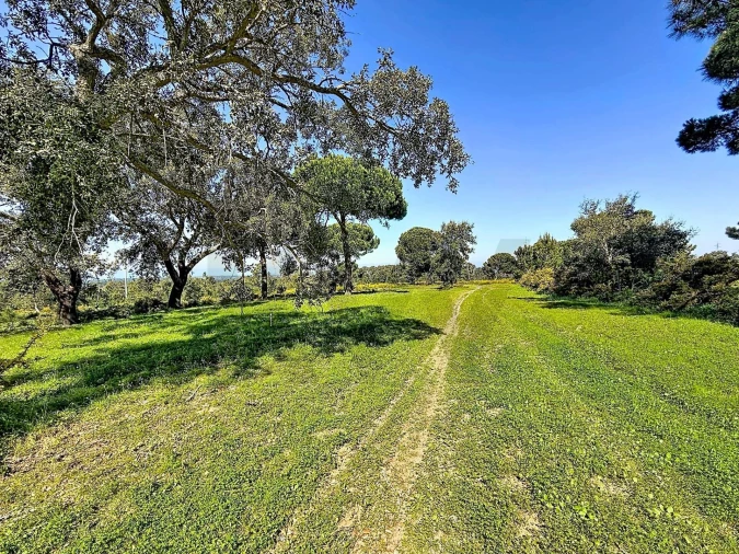 Terreno para Venda em Sesimbra (Castelo)