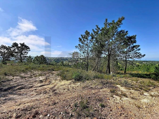 Terreno para Venda em Sesimbra (Castelo) Foto 12