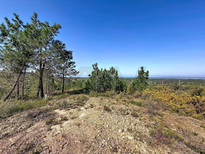 Terreno para Venda em Sesimbra (Castelo) Foto 10