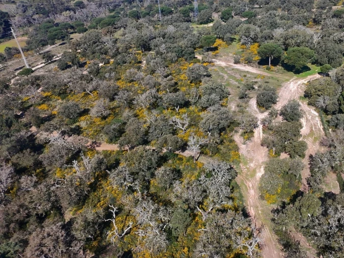 Terreno para Venda em Sesimbra (Castelo) Foto 24