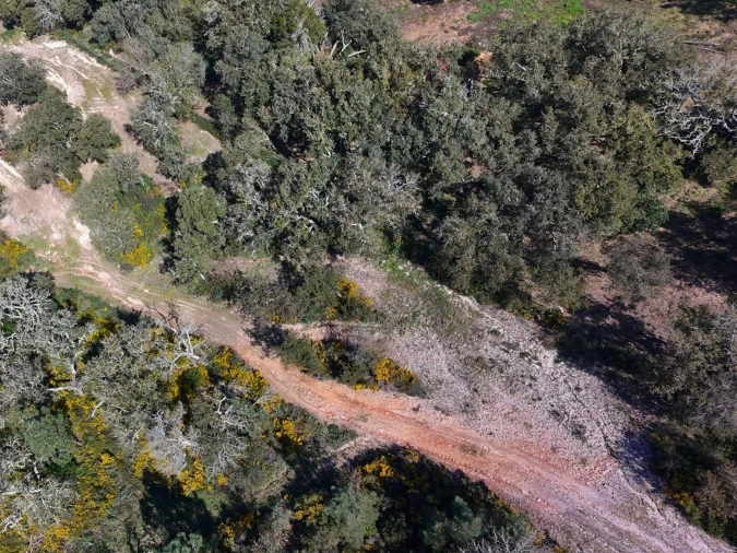 Terreno para Venda em Sesimbra (Castelo) Foto 22