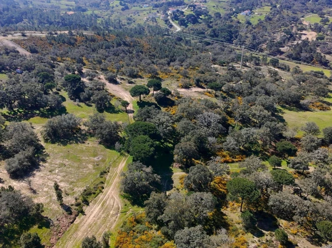 Terreno para Venda em Sesimbra (Castelo) Foto 15