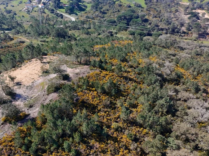 Terreno para Venda em Sesimbra (Castelo) Foto 23