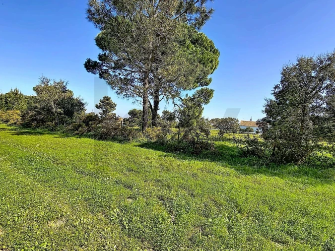 Terreno para Venda em Sesimbra (Castelo) Foto 2