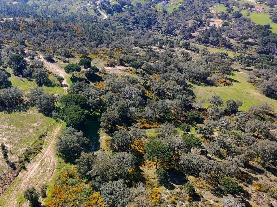 Terreno para Venda em Sesimbra (Castelo) Foto 18
