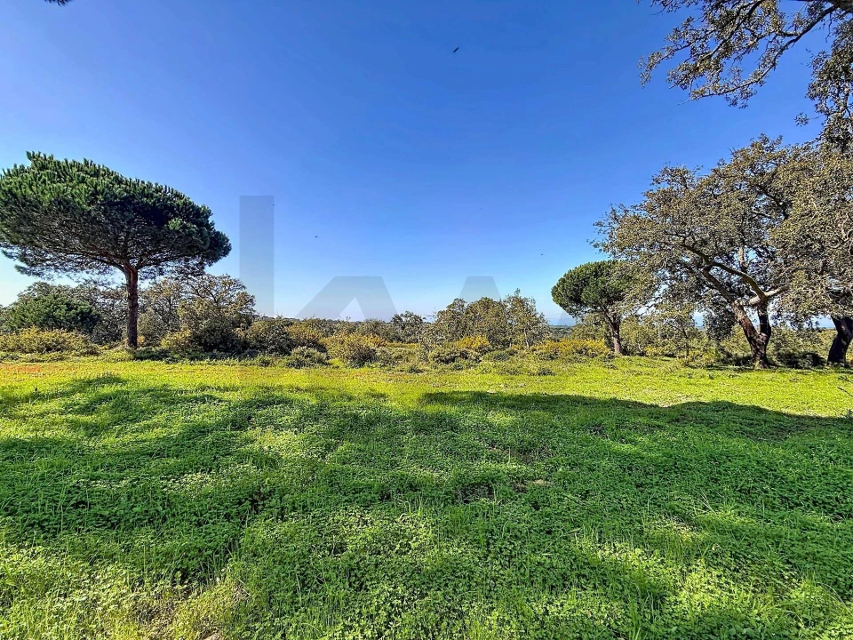 Terreno para Venda em Sesimbra (Castelo) Foto 6