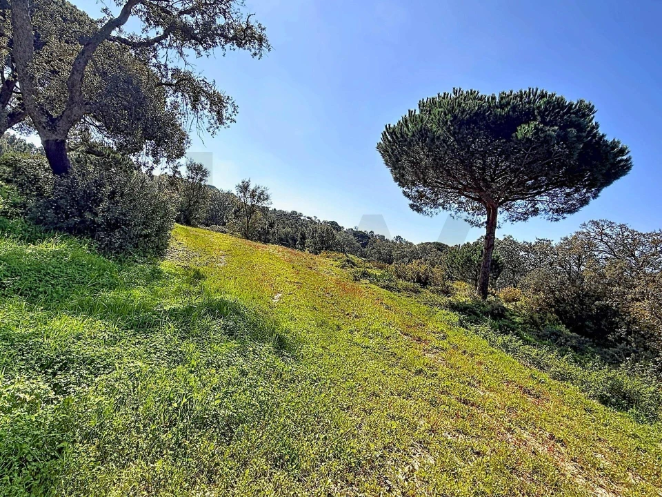 Terreno para Venda em Sesimbra (Castelo) Foto 5