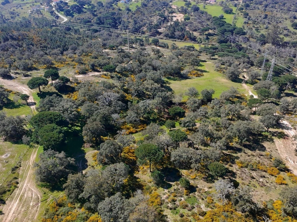 Terreno para Venda em Sesimbra (Castelo) Foto 16