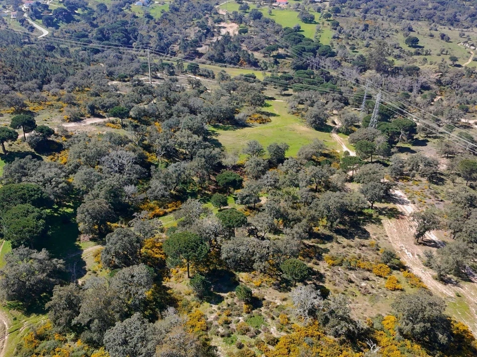 Terreno para Venda em Sesimbra (Castelo) Foto 17