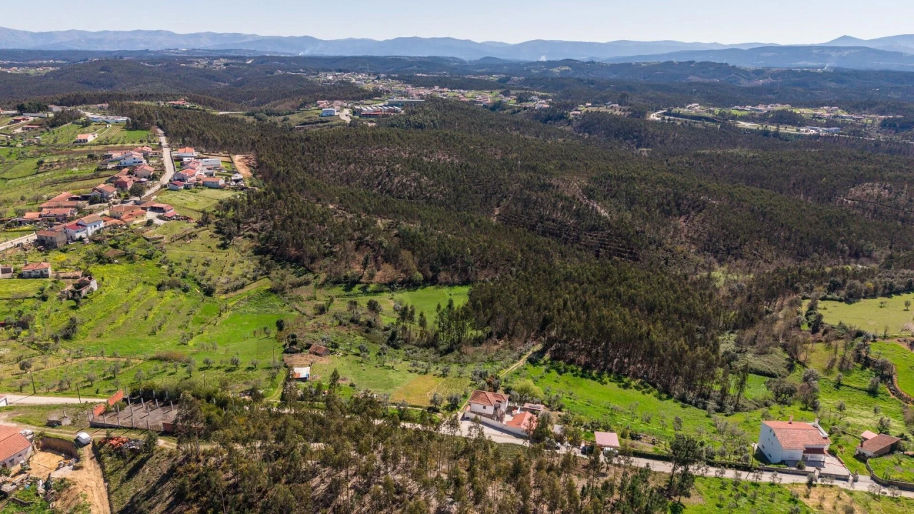 Moradia T3 para Venda em Oliveira do Mondego e Travanca do Mondego Foto 66