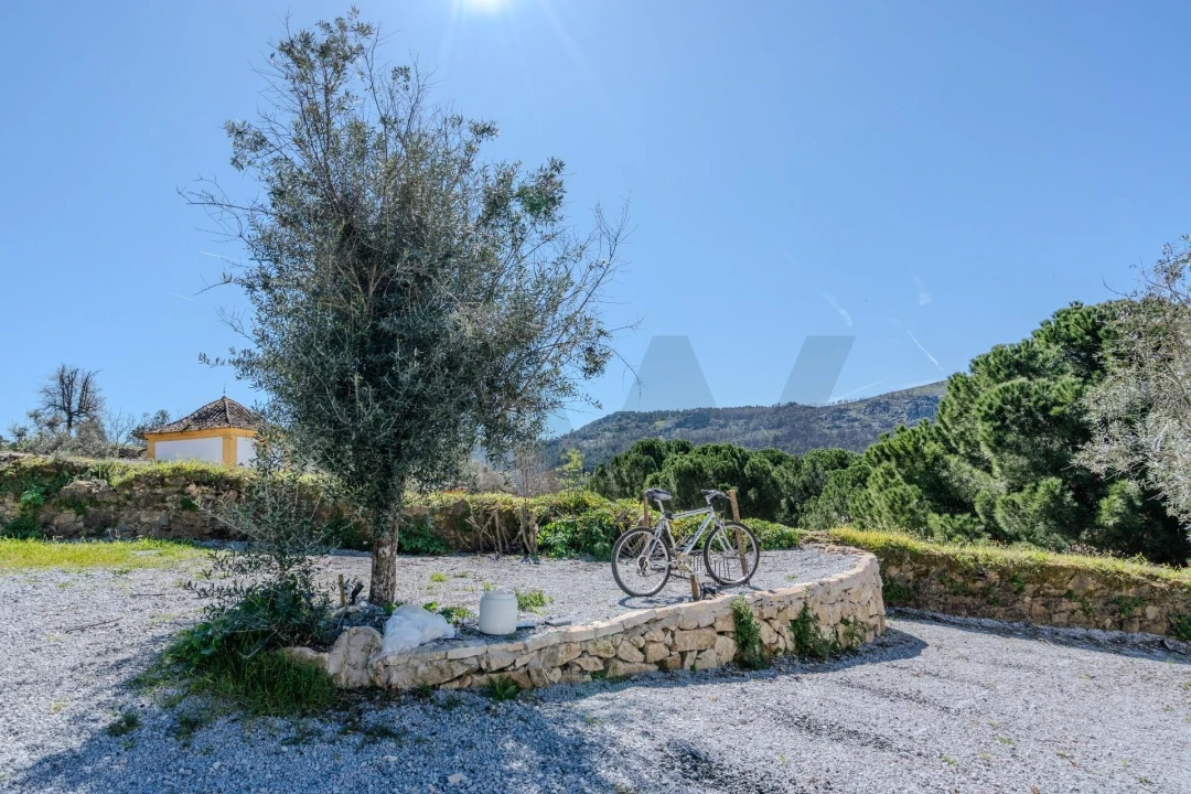 Terreno para Venda em Santa Maria da Devesa Foto 38