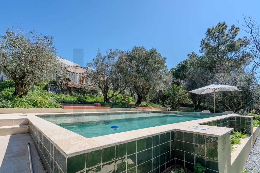 Terreno para Venda em Santa Maria da Devesa Foto 3