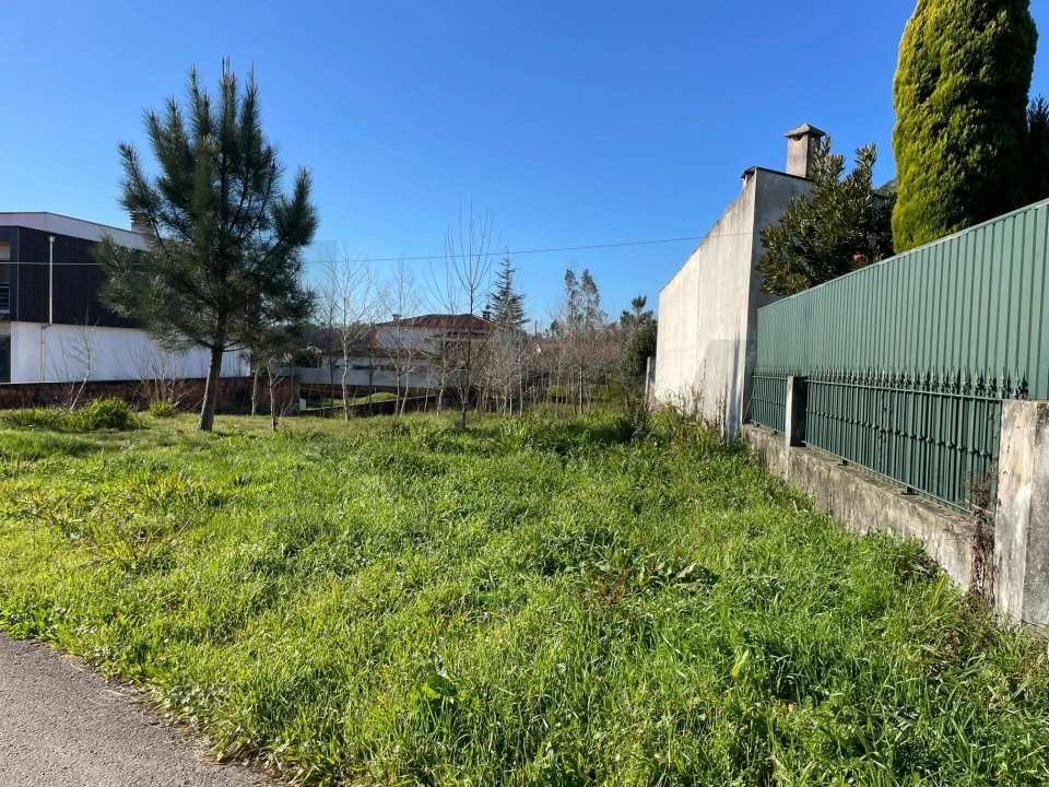 Terreno para Venda em Macinhata do Vouga Foto 7