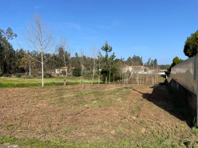 Terreno para Venda em Macinhata do Vouga Foto 13